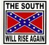 THE SOUTH WILL RISE AGAIN